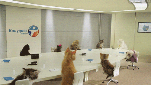GIF taken from this site: https://giphy.com